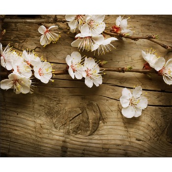 Tablou canvas Flori de cires 2, 90 x 60 cm Tablou canvas Flori de cires 2, 90 x 60 cm