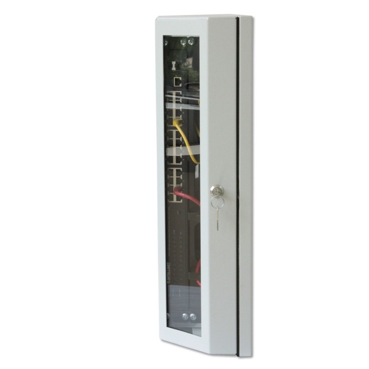Cabinet rack metalic, de perete de 19" 6+3 unitati Plat, montabil pe perete, complet preasamblat, 537 x 146 x 475 mm (L x I x A) mm; Culoare Gri RAL7035, Techly Professional, I-CASEFL-09-BGT