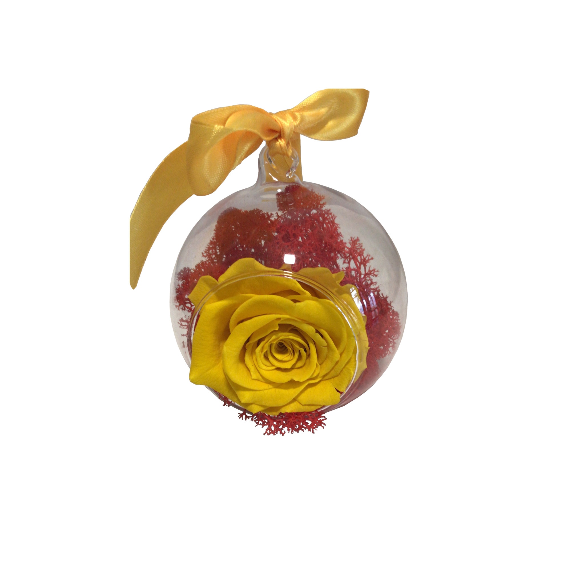 Trandafir criogenat si muschi prezervati in glob de stricla, Verdissimo, Galben/Rosu, 10 cm