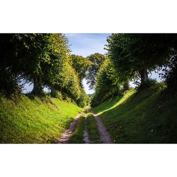 Tablou canvas Peisaj 150, 50x90 cm Tablou canvas Peisaj 150, 50x90 cm