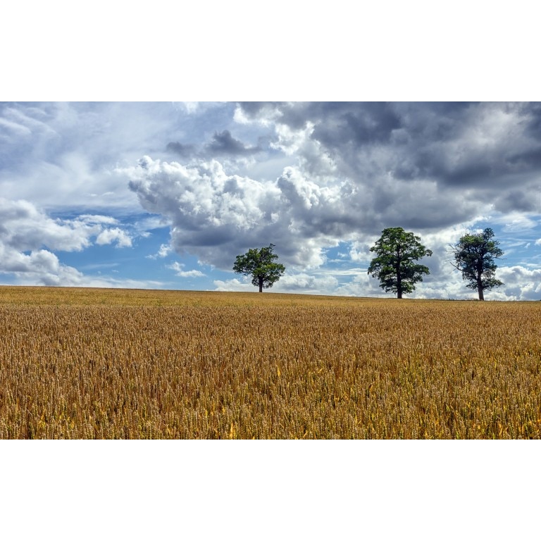 Tablou canvas Peisaj 88, 60x40 cm