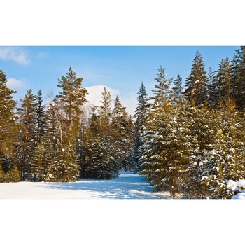 Fototapet autoadeziv Peisaj 147, 70x105 cm Fototapet autoadeziv Peisaj 147, 70x105 cm