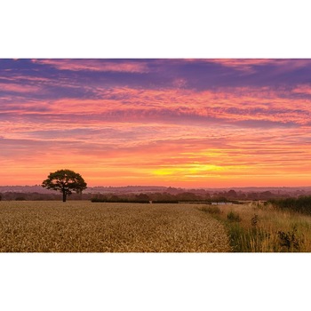 Tablou canvas Peisaj 105, 75x50 cm Tablou canvas Peisaj 105, 75x50 cm