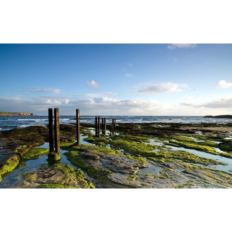 Tablou canvas Peisaj 44, 75x50 cm