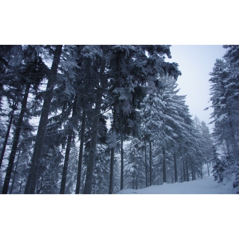 Tablou canvas Peisaj 117, 50x35 cm