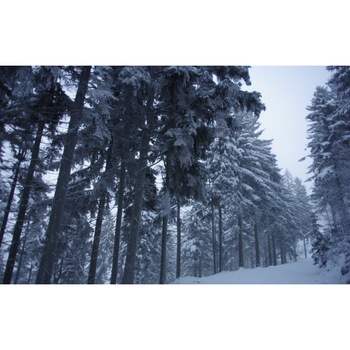 Tablou canvas Peisaj 117, 75x50 cm Tablou canvas Peisaj 117, 75x50 cm