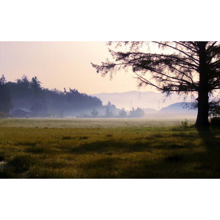 Fototapet autoadeziv Peisaj 24, 75x100 cm