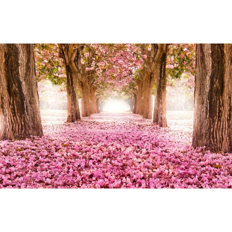 Tablou canvas Peisaj 20, 50x35 cm