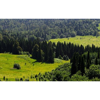 Tablou canvas Peisaj 22, 100x70 cm Tablou canvas Peisaj 22, 100x70 cm