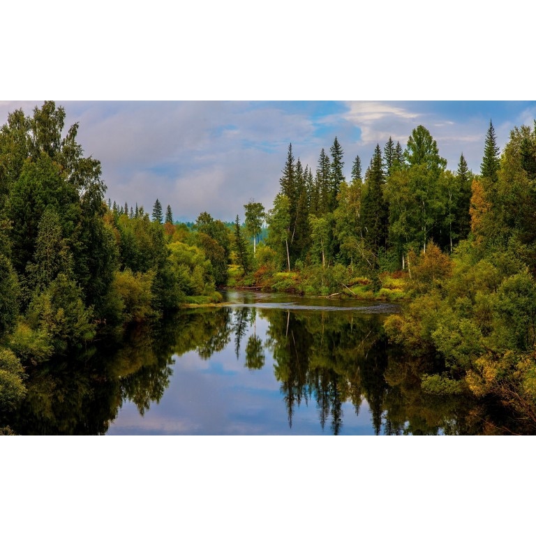 Tablou canvas Peisaj 50, 50x35 cm