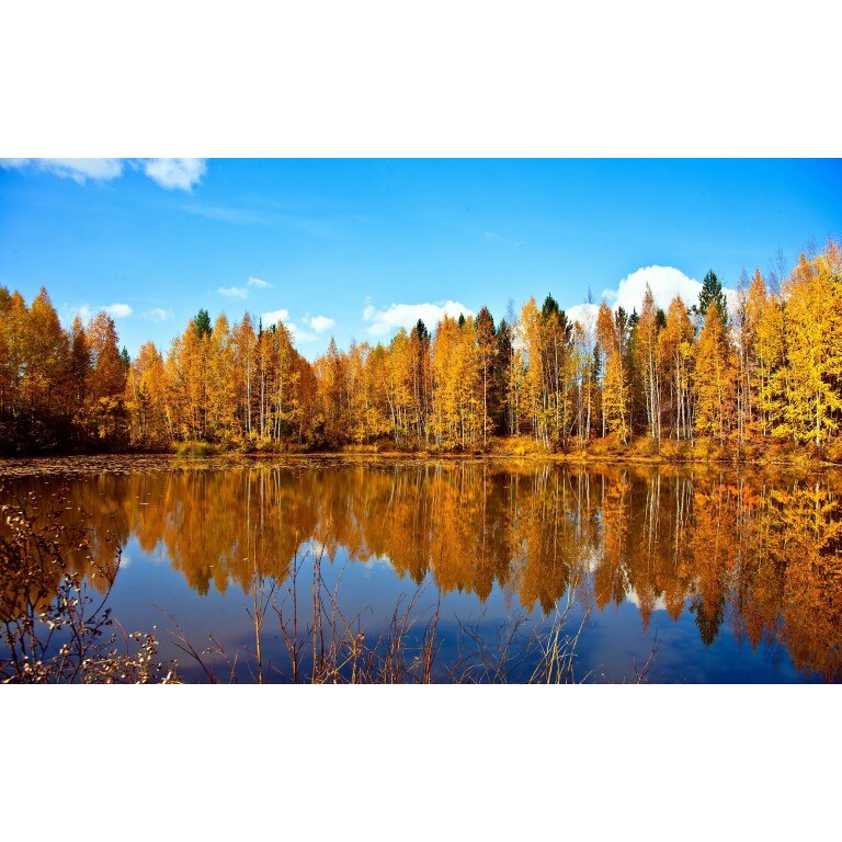 Tablou canvas Peisaj 108, 100x70 cm