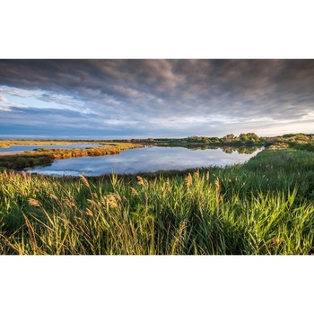 Tablou canvas Peisaj 111, 50x90 cm Tablou canvas Peisaj 111, 50x90 cm