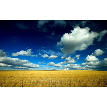 Fototapet autoadeziv Peisaj 30, 75x110 cm Fototapet autoadeziv Peisaj 30, 75x110 cm