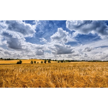 Tablou canvas Peisaj 144, 50x90 cm Tablou canvas Peisaj 144, 50x90 cm