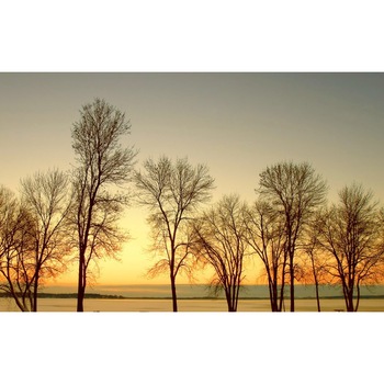 Tablou canvas Peisaj 36, 100x70 cm Tablou canvas Peisaj 36, 100x70 cm