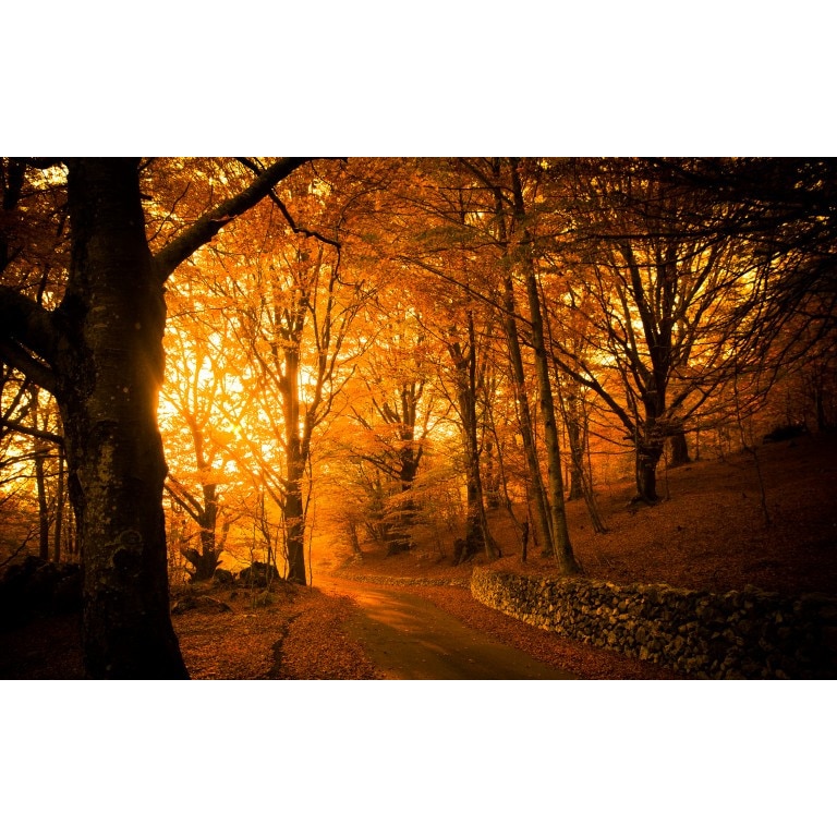 Tablou canvas Peisaj 59, 60x40 cm