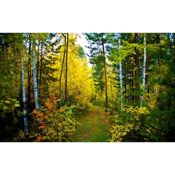 Tablou canvas Peisaj 94, 50x90 cm Tablou canvas Peisaj 94, 50x90 cm