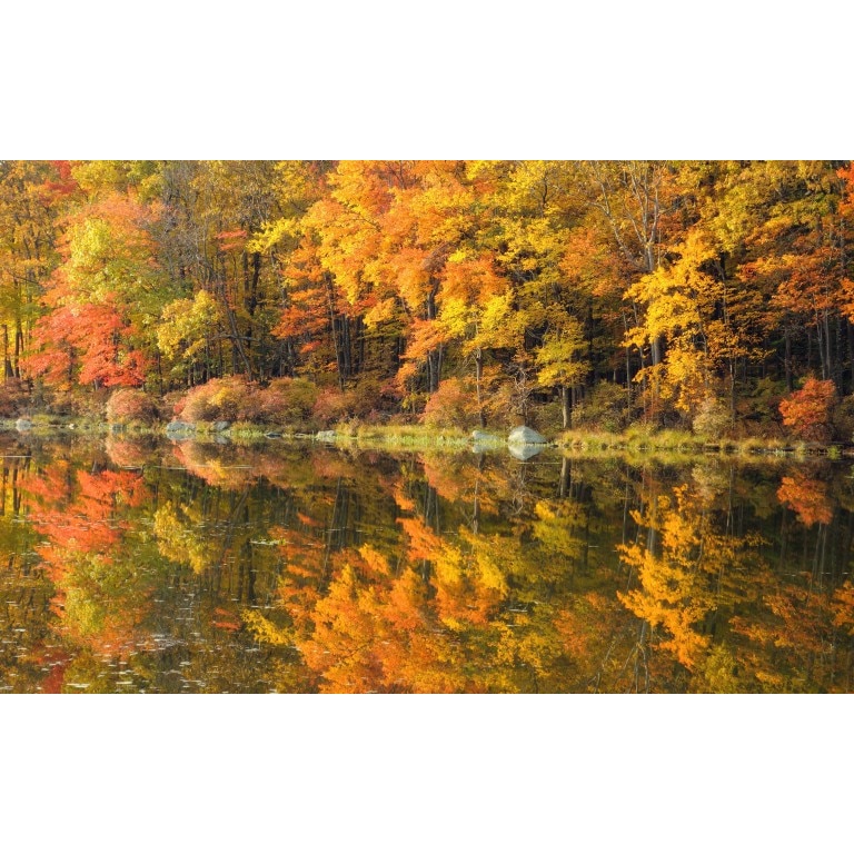 Tablou canvas Peisaj 19, 50x35 cm