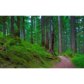 Fototapet autoadeziv Peisaj 92, 70x120 cm Fototapet autoadeziv Peisaj 92, 70x120 cm