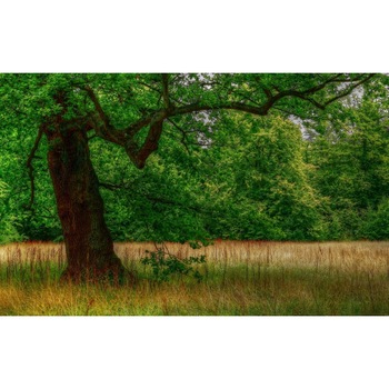 Tablou canvas Peisaj 12, 100x70 cm Tablou canvas Peisaj 12, 100x70 cm