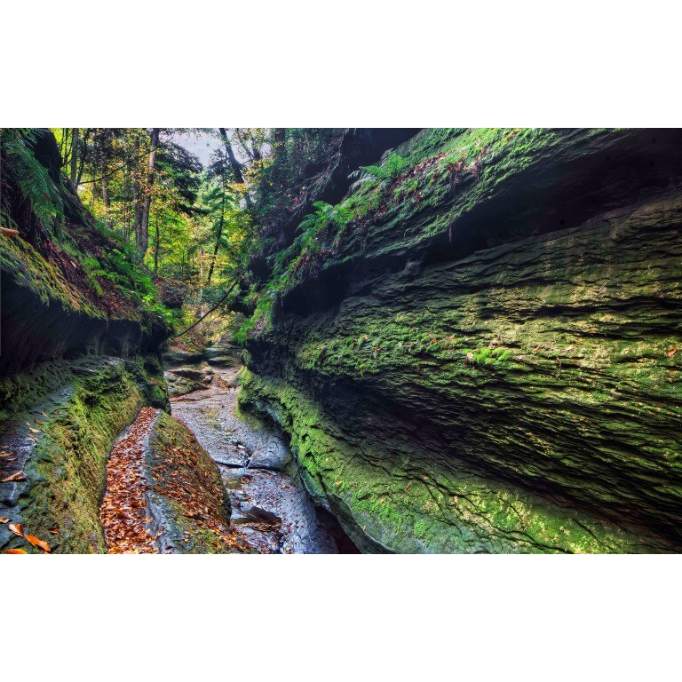 Tablou canvas Peisaj 87, 50x90 cm