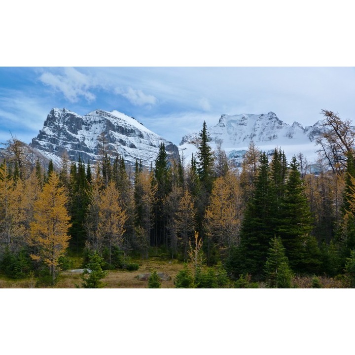 Öntapadós tapéta Canvas Landscape 109, 120x80 cm