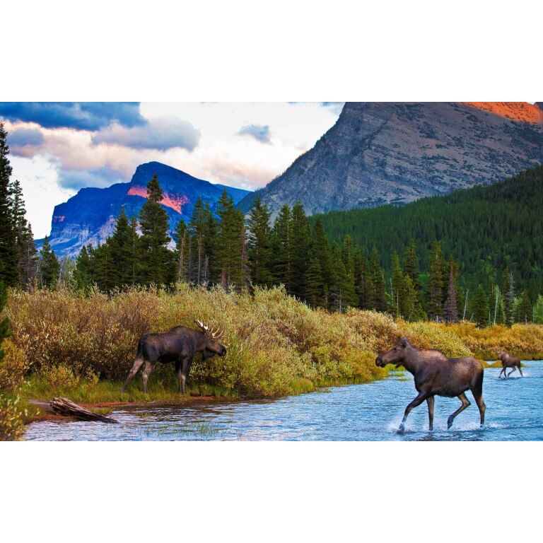 Tablou canvas Peisaj 118, 100x70 cm