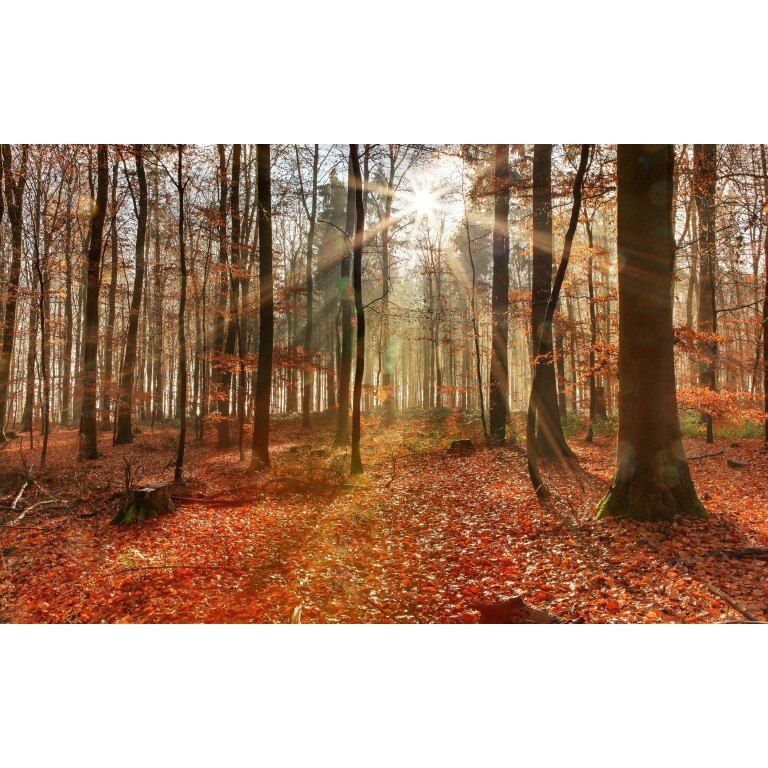 Tablou canvas Peisaj 61, 50x35 cm