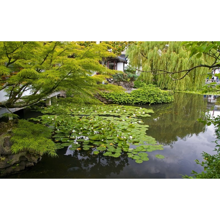 Tablou canvas Peisaj 74, 75x50 cm