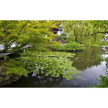 Tablou canvas Peisaj 74, 75x50 cm Tablou canvas Peisaj 74, 75x50 cm