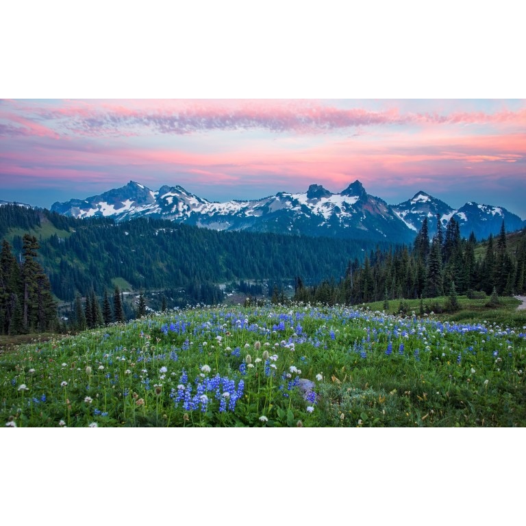 Tablou canvas Peisaj 138, 100x70 cm