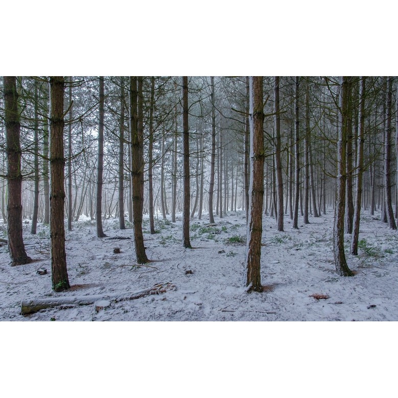 Tablou canvas Peisaj 52, 50x90 cm