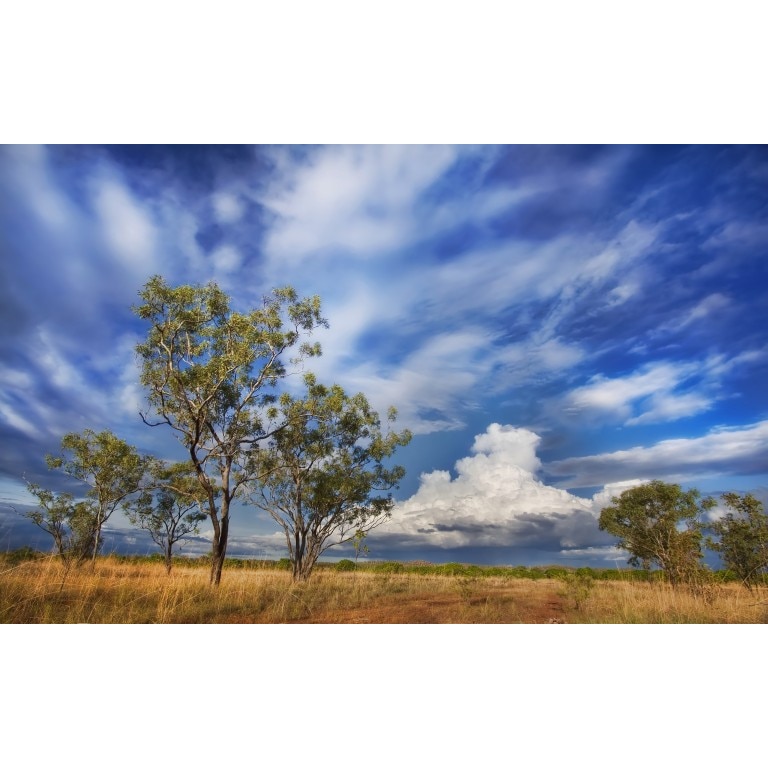 Tablou canvas Peisaj 31, 50x35 cm