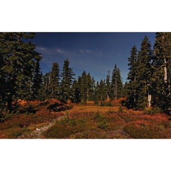 Fototapet autoadeziv Peisaj 1, 75x110 cm Fototapet autoadeziv Peisaj 1, 75x110 cm