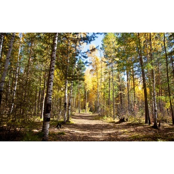 Tablou canvas Peisaj 35, 50x35 cm Tablou canvas Peisaj 35, 50x35 cm