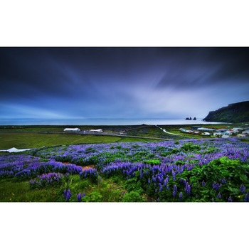 Tablou canvas Peisaj 100, 75x50 cm Tablou canvas Peisaj 100, 75x50 cm