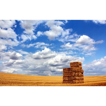 Tablou canvas Peisaj 34, 50x35 cm Tablou canvas Peisaj 34, 50x35 cm