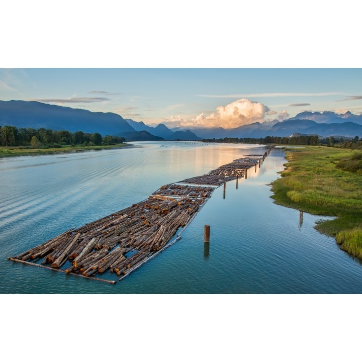 Fototapet autoadeziv Canvas Peisaj 37, 120x80 cm