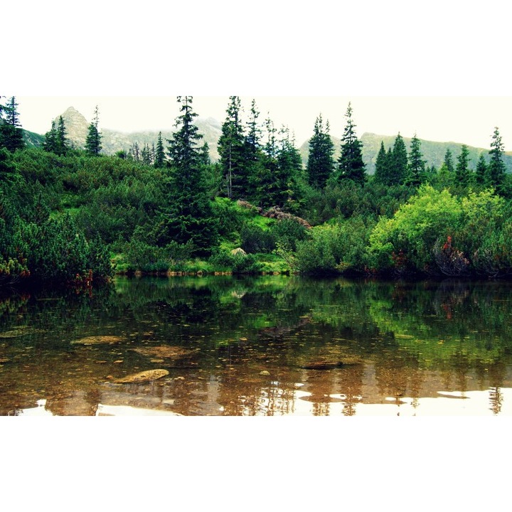 Fototapet autoadeziv Canvas Peisaj 81, 100x70 cm