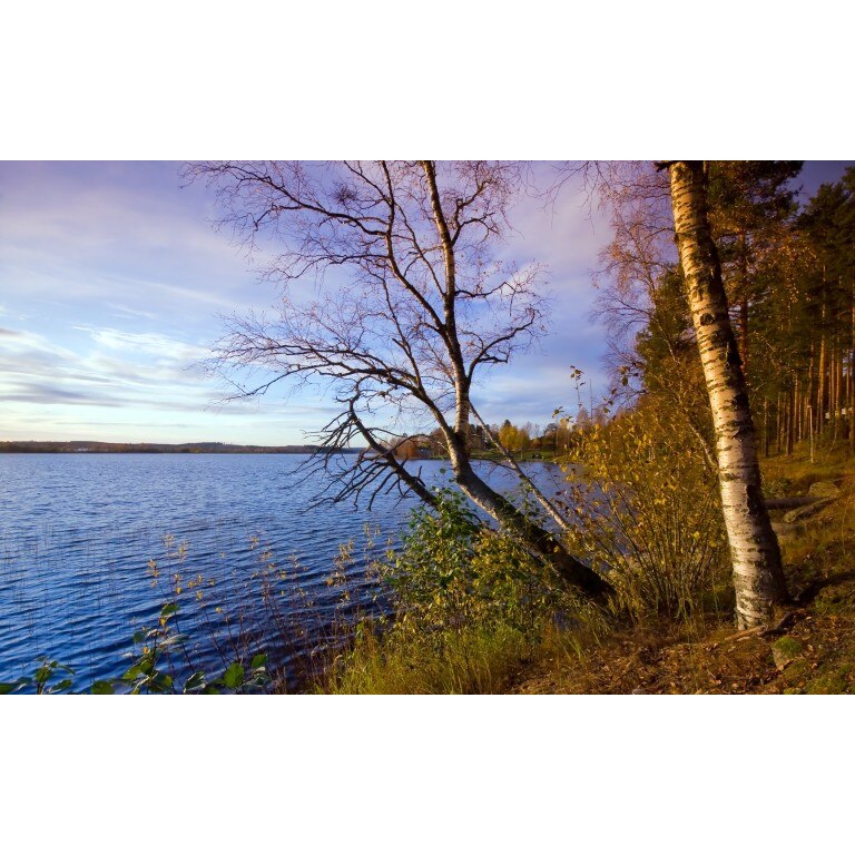 Tablou canvas Peisaj 57, 50x35 cm