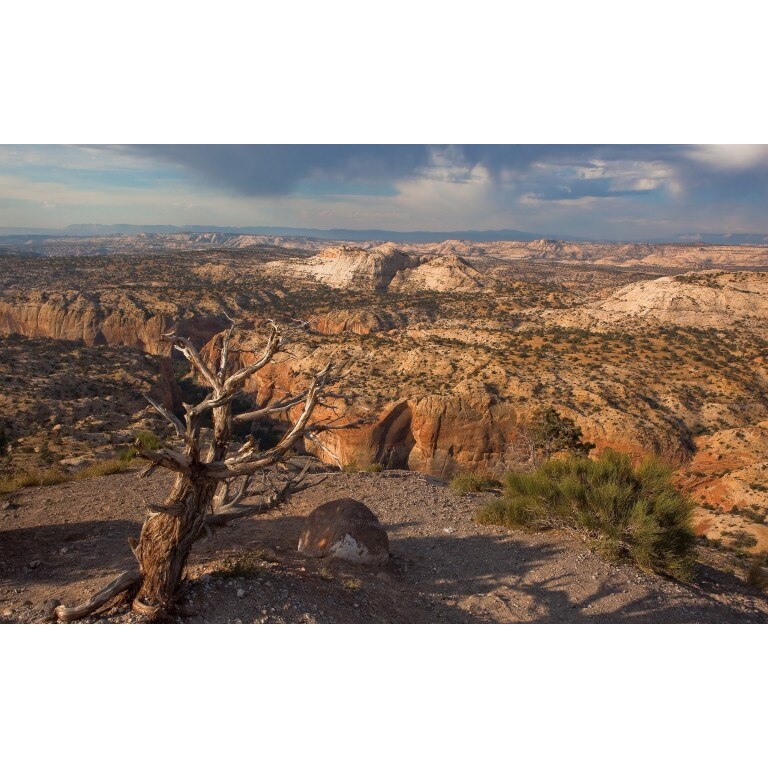 Tablou canvas Peisaj 18, 100x70 cm