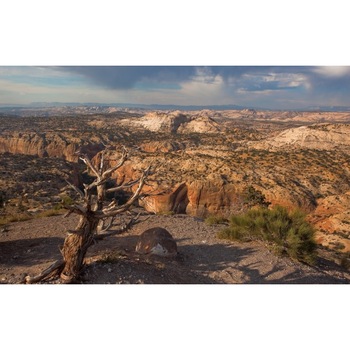 Tablou canvas Peisaj 18, 75x50 cm Tablou canvas Peisaj 18, 75x50 cm