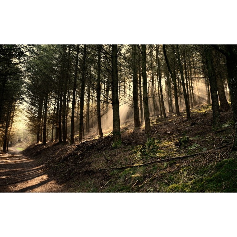 Tablou canvas Peisaj 98, 50x90 cm