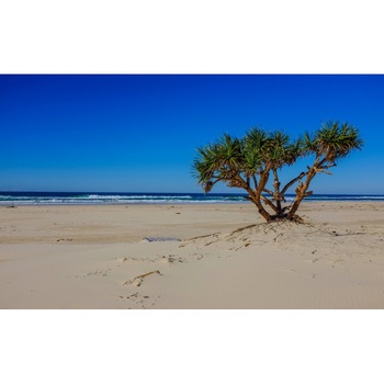 Tablou canvas Peisaj 33, 50x90 cm Tablou canvas Peisaj 33, 50x90 cm