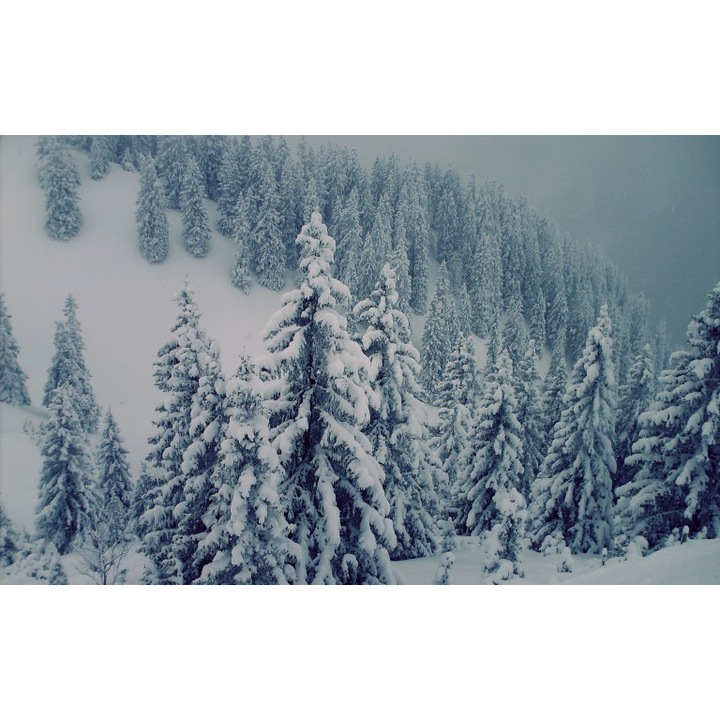 Vászon öntapadós tapéta Landscape 14, 120x80 cm