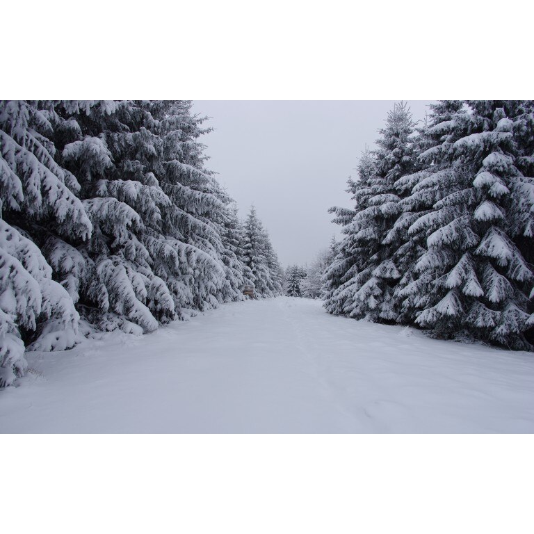 Tablou canvas Peisaj 80, 100x70 cm