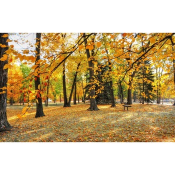 Tablou canvas Peisaj 68, 75x50 cm Tablou canvas Peisaj 68, 75x50 cm