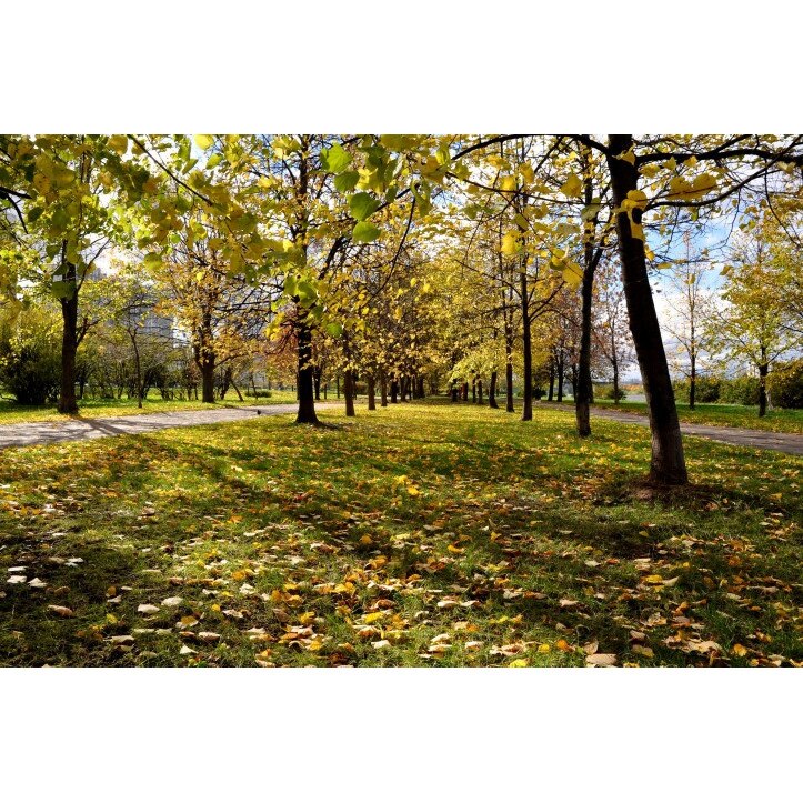 Tablou canvas Peisaj 131, 50x35 cm