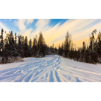 Tablou canvas Peisaj 32, 50x90 cm Tablou canvas Peisaj 32, 50x90 cm