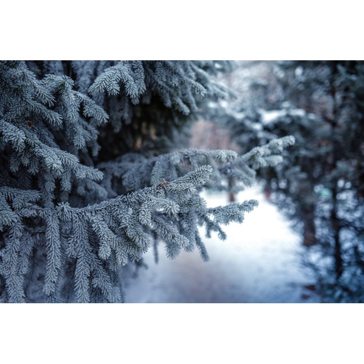 Tablou canvas Peisaj 5, 100x70 cm